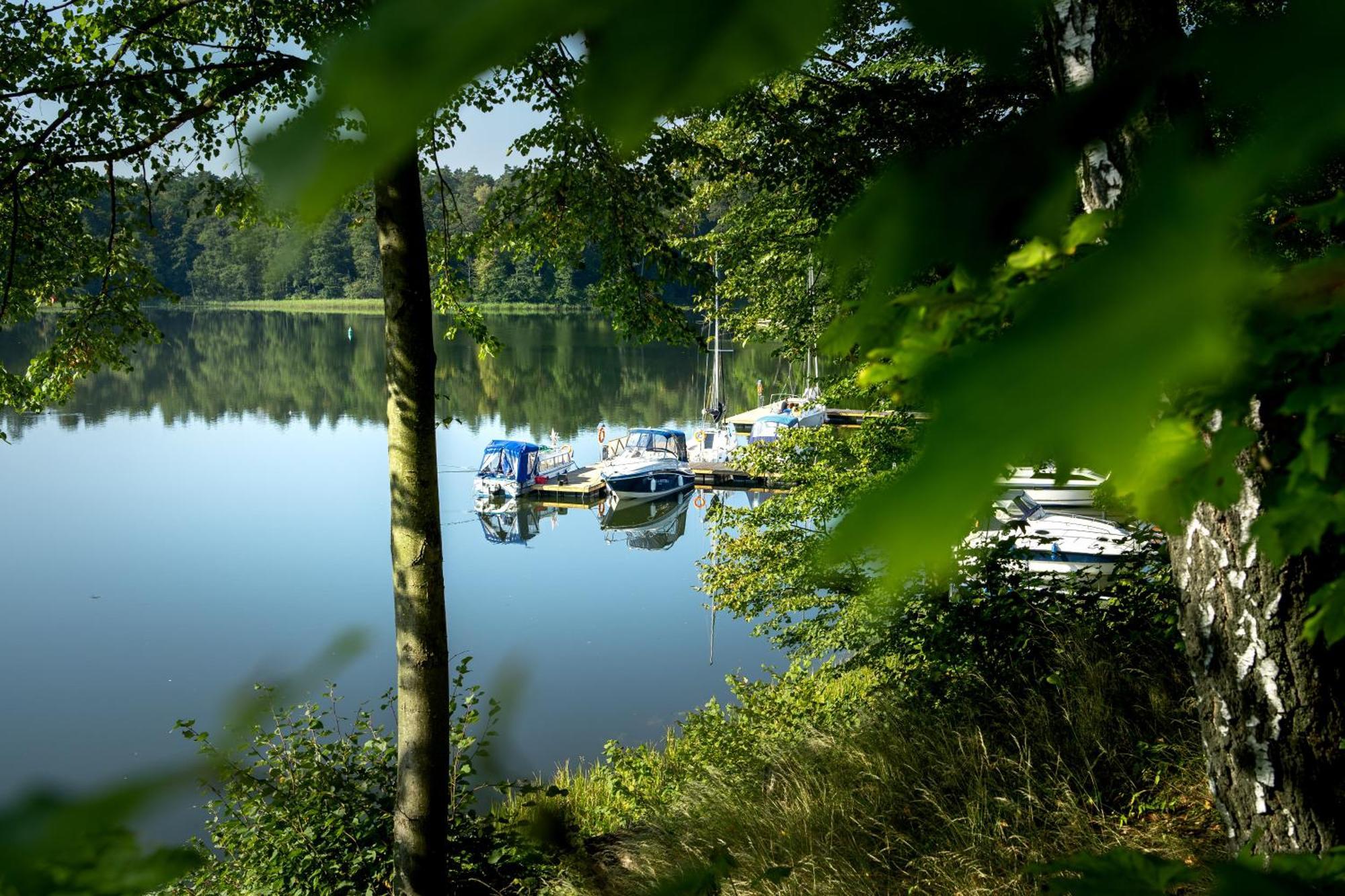 Ruciane Park - Mazury Resort & Spa 客房 照片